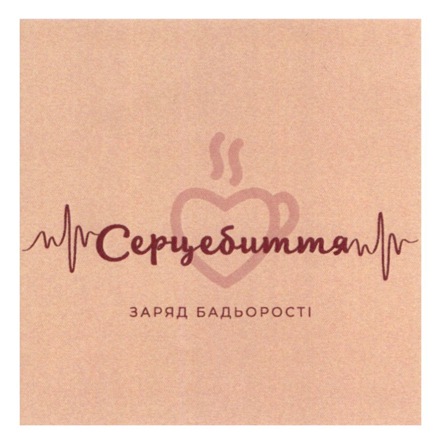 заряд бадьорості