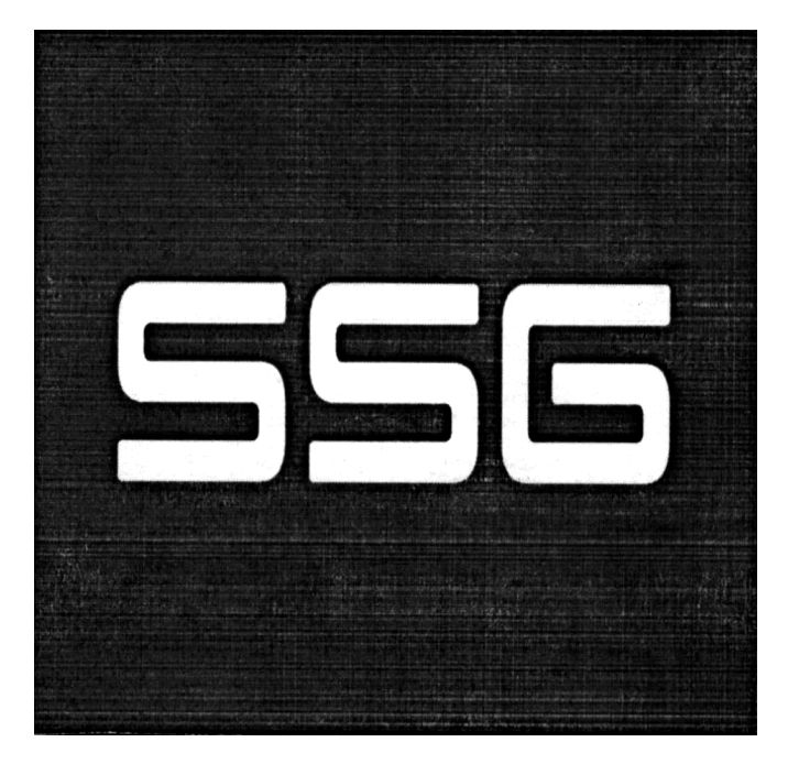Лого ТМ ssg