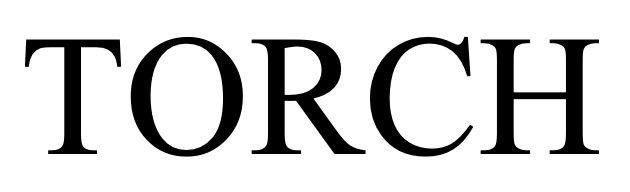 Лого ТМ torch