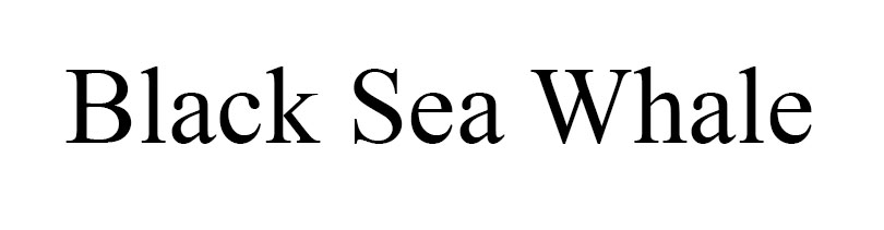 black sea whale