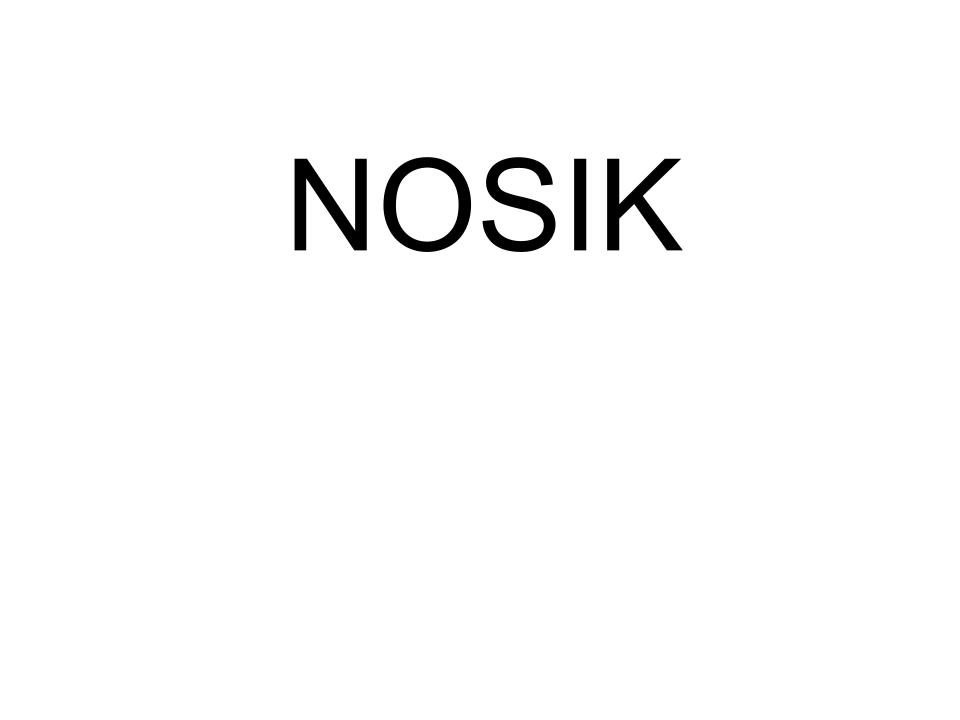 nosik