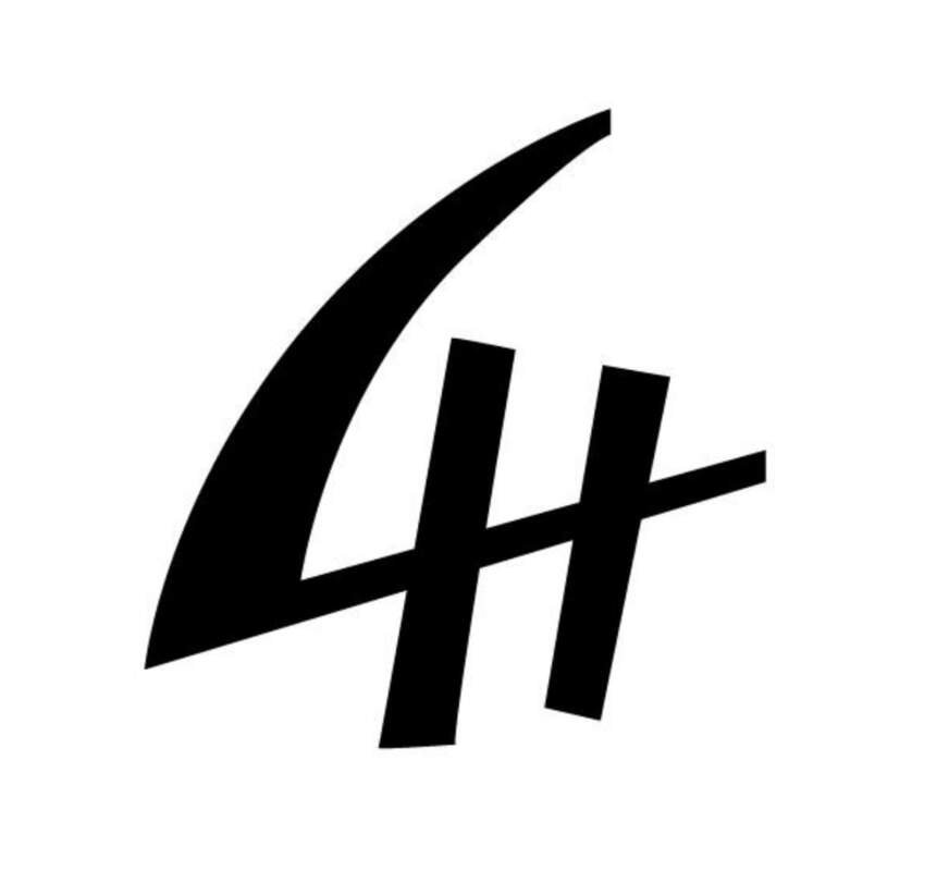 4н