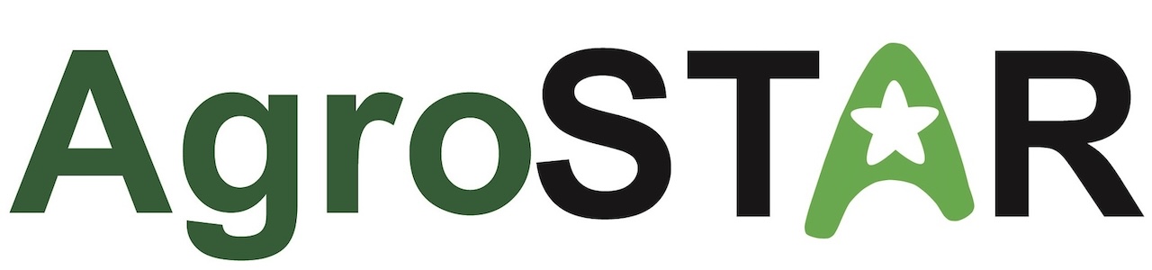 Лого ТМ star