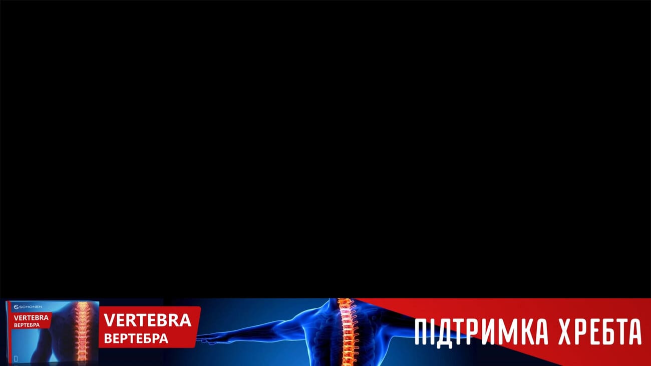 vertebra вертебра