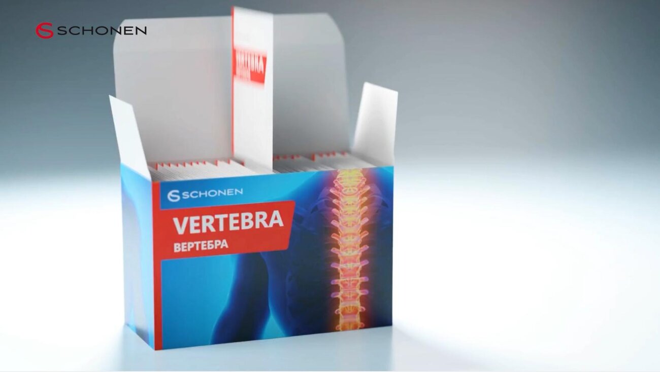 vertebra