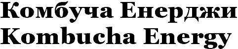 комбуча енерджи