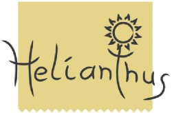 helianthus