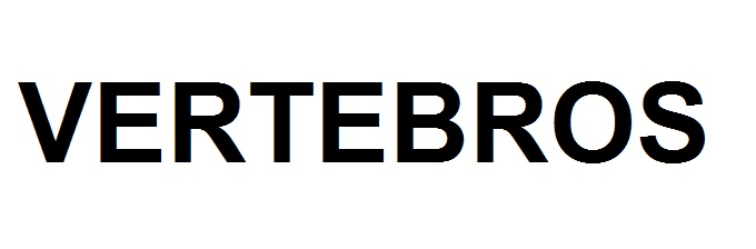 vertebros