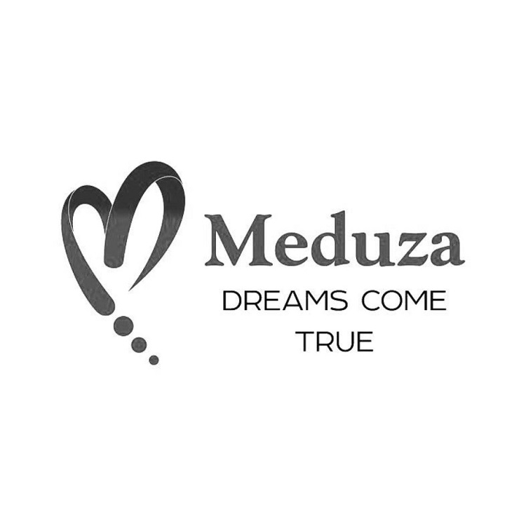 meduza dreams come true