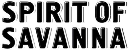 spirit of savanna