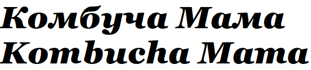kombucha mama