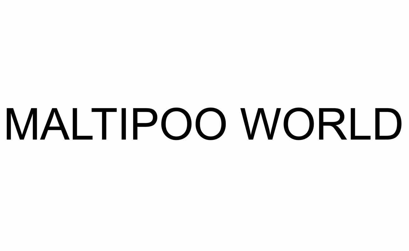 maltipoo world