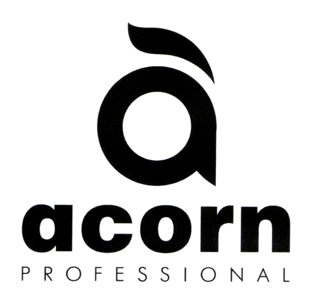 acorn professional