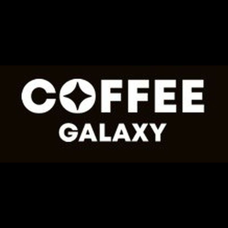 Лого ТМ galaxy