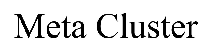meta cluster