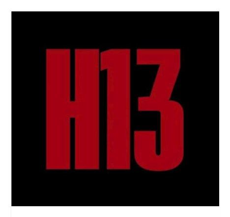 н13