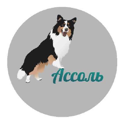 ассоль