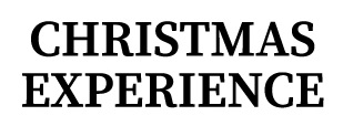 Лого ТМ experience