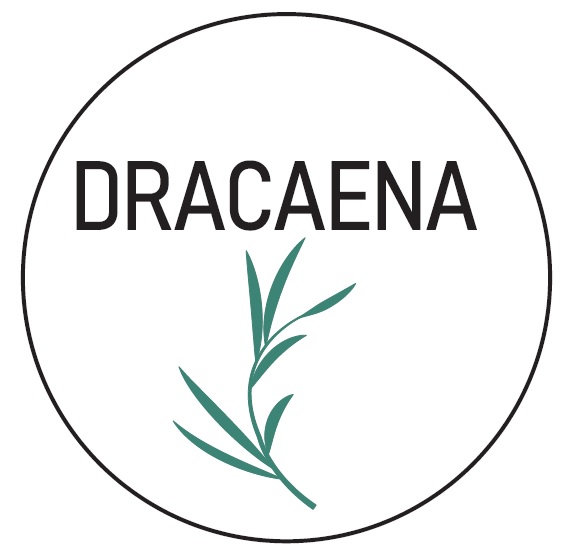 dracaena
