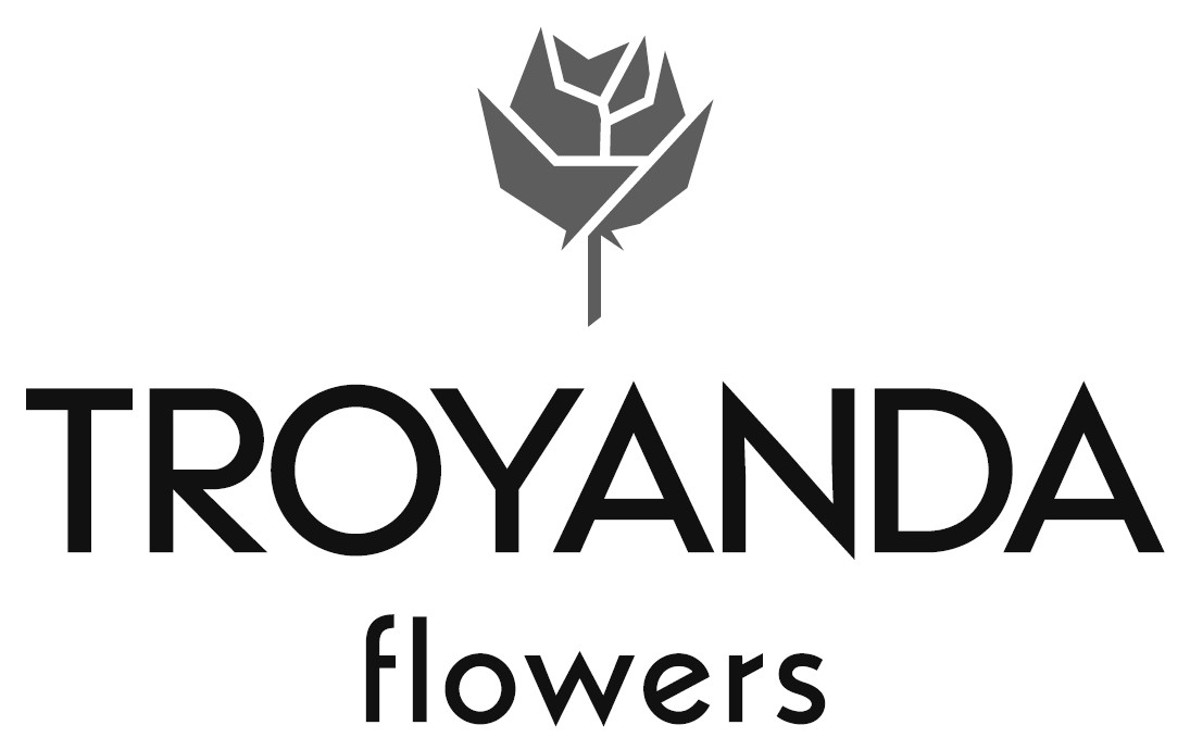 troyanda flowers