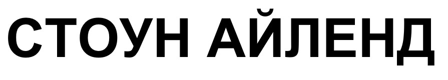 Лого ТМ айленд