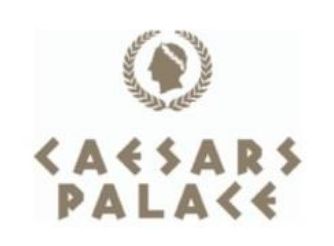 Лого ТМ palace
