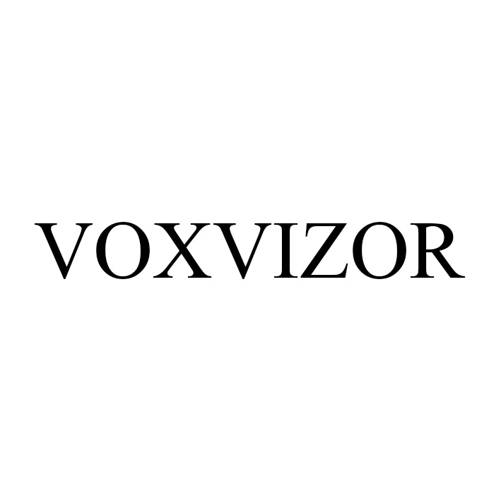 Лого ТМ voxvizor