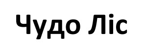 чудо ліс