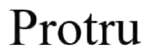 Лого ТМ protru