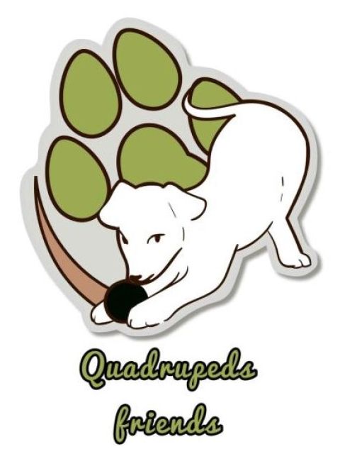 quadrupeds friends