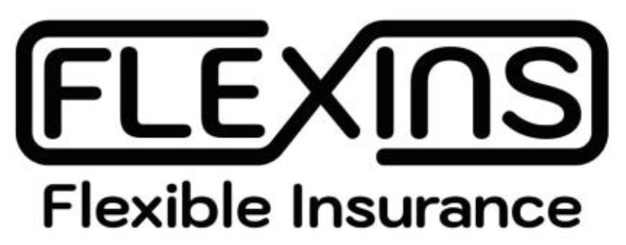 Зображення марки «flexins flexible insurance»