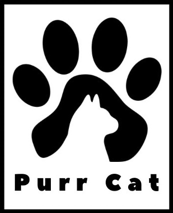 purr cat