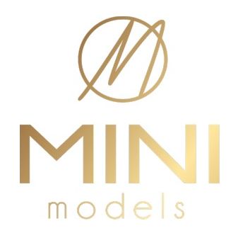 mini models