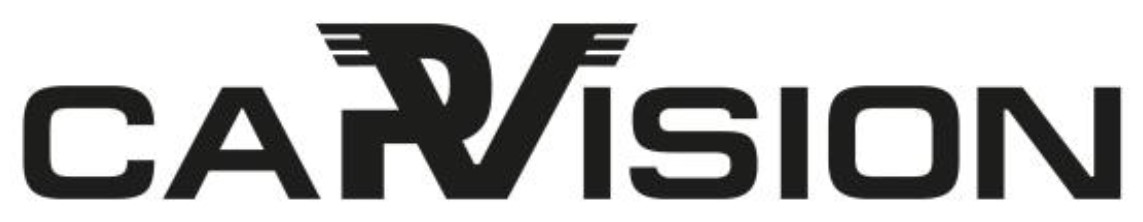 Лого ТМ vision