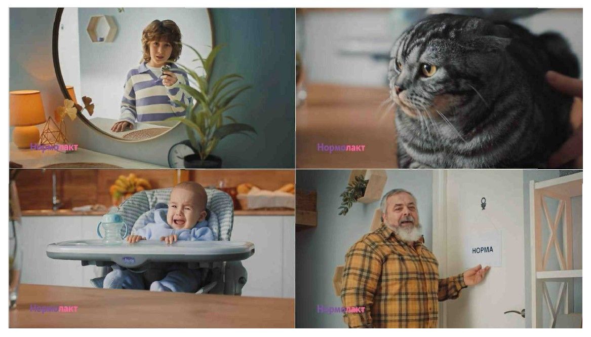 нормолакт