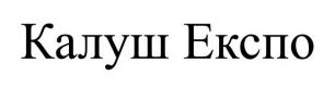 калуш експо