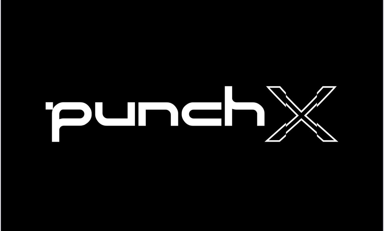 punch x