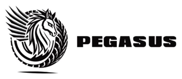 pegasus