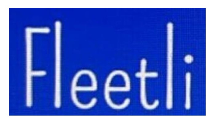 Лого ТМ fleetli
