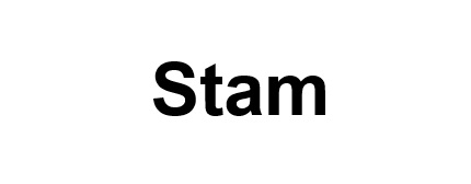 Торговельна марка «stam», свідоцтво №390385