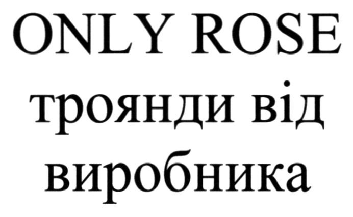 троянди від виробника