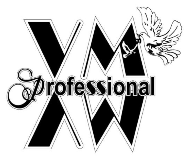 Лого ТМ professional