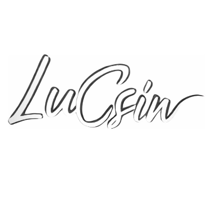lu csin