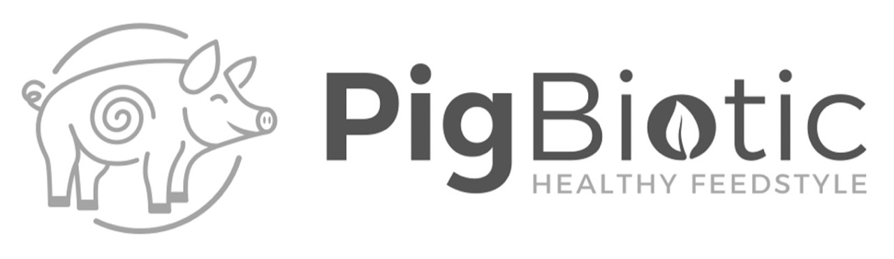 Торговельна марка «feedstyle healthy biotic pig pigbiotic pigbiotic healthy feedstyle», свідоцтво №390083