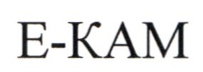 Зображення марки «е-кам · e-kam»