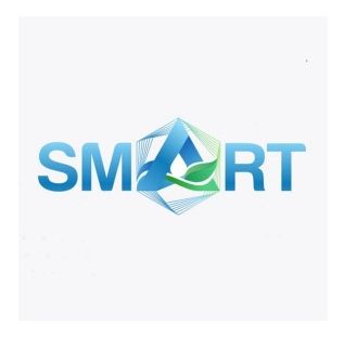 Зображення марки «smart»