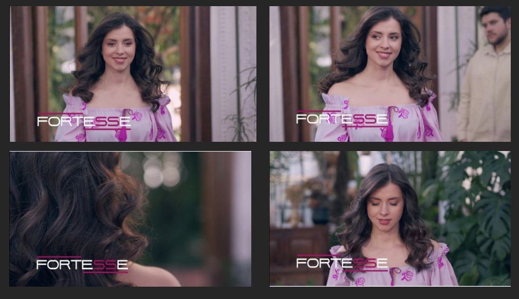 fortesse