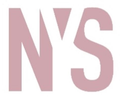 Лого ТМ nys