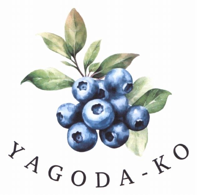 ТМ ko ко yagoda yagoda ko yagodako yagoda-ko