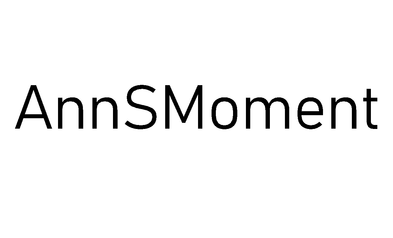 Торговельна марка «s momen аnns аnn аnnsmoment», свідоцтво №390158
